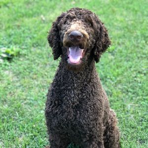 Meet your Posher, Kelly